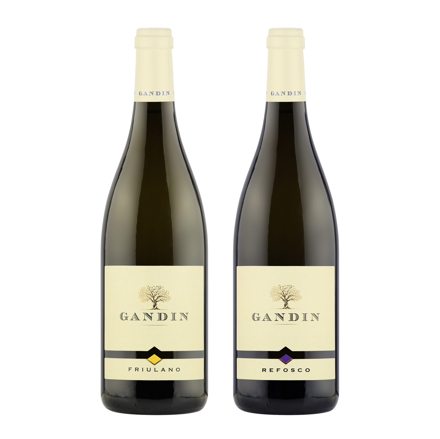 FRIULANO DOC FRIULI ISONZO 2022 + REFOSCO DOC FRULI ISONZO 2020