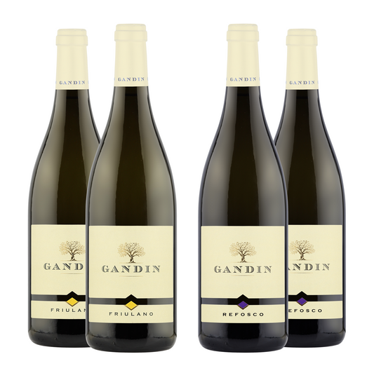 2 BT FRIULANO DOC FRIULI ISONZO 2022 + 2 BT REFOSCO DOC FRULI ISONZO 2020