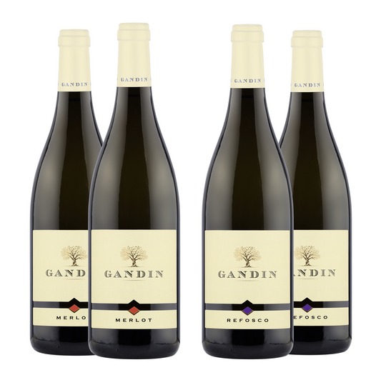 2 BT MERLOT DOC FRIULI ISONZO 2020 + 2 BT REFOSCO DOC FRULI ISONZO 2020