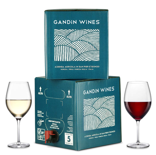 BAG IN BOX 5L CABERNET + 5L SAUVIGNON