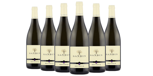 6 BT REFOSCO DOC FRIULI ISONZO 2020