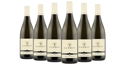 6 BT SAUVIGNON DOC FRIULI ISONZO 2022