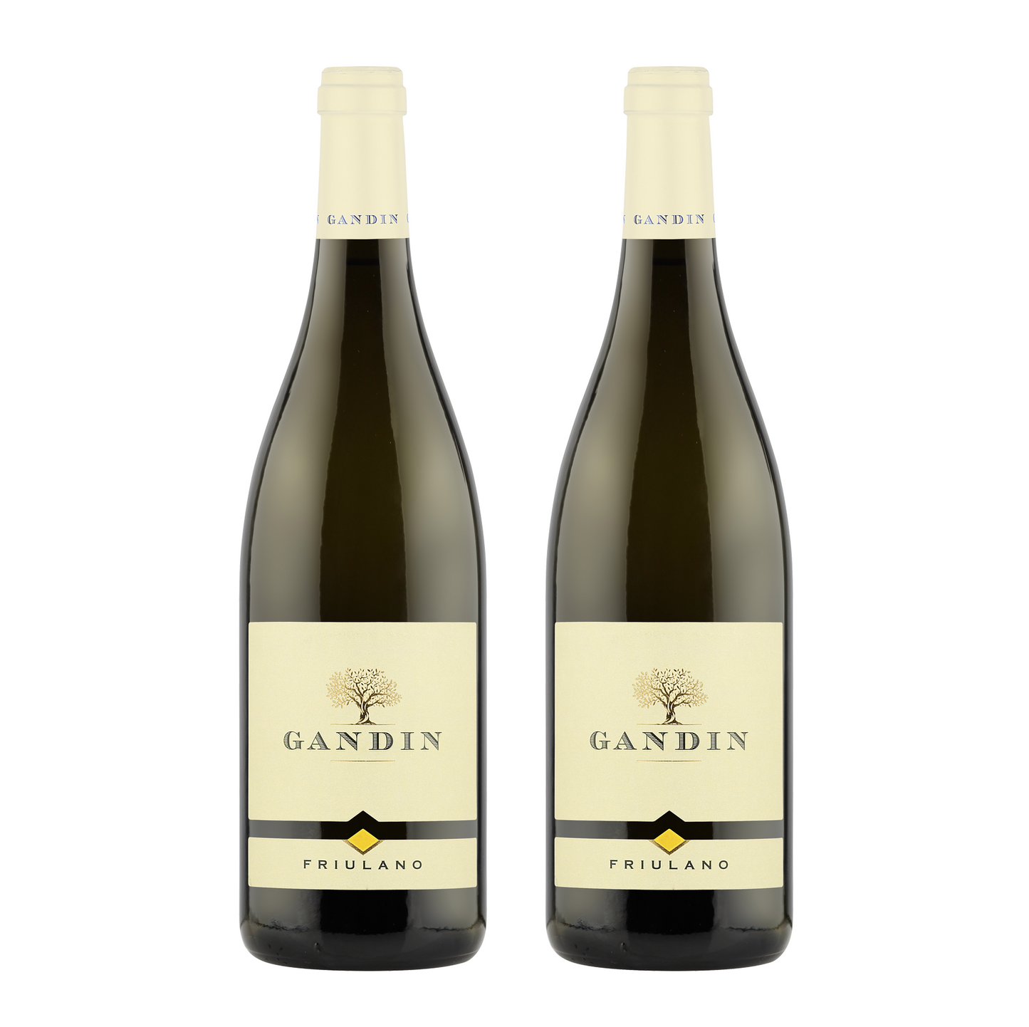 FRIULANO DOC FRIULI ISONZO 2022 - Combo 2 Bottiglie